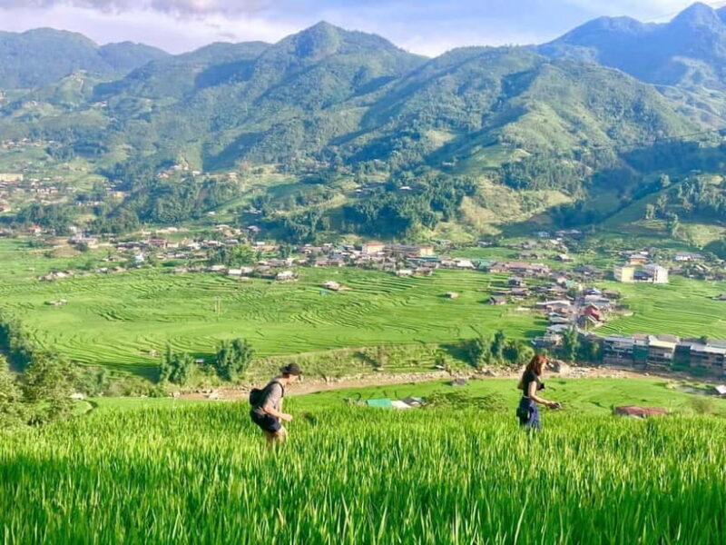 Sapa Trekking Discover Terraced Fields & Ethnic Villages - Sapa Trekking Discover Terraced Fields & Ethnic Villages: A Practical Guide