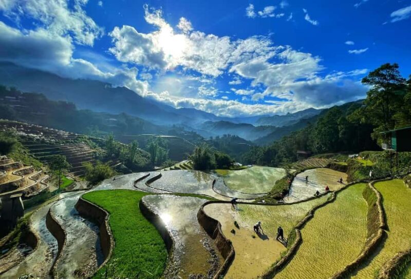 Sapa Trekking Explore Terraced Rice Fields, Ethnic Culture - Why This Tour Is a Good Deal