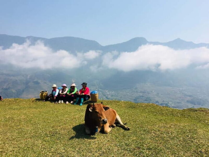 Sapa Trekking Guide Francophone 2 days 1 night - An In-Depth Look at the Sapa Trekking Experience