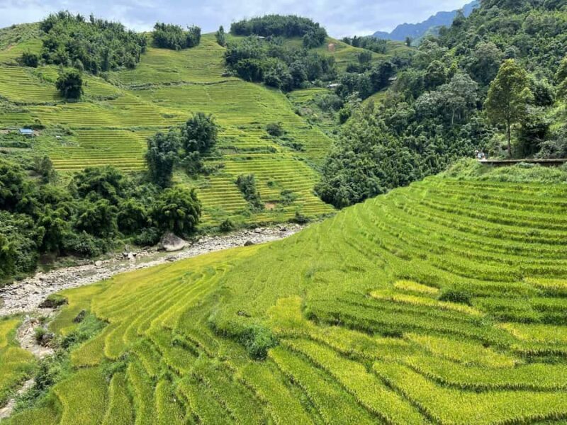 Sapa: Trekking Sapa One Day With Group Tour - Authenticity and Value