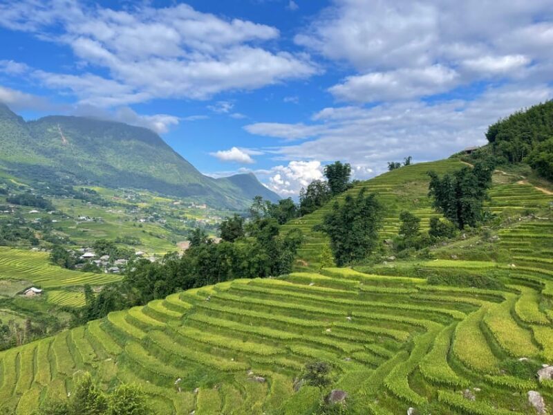 Sapa: Trekking Sapa One Day With Group Tour - Who Is This Tour Best For?