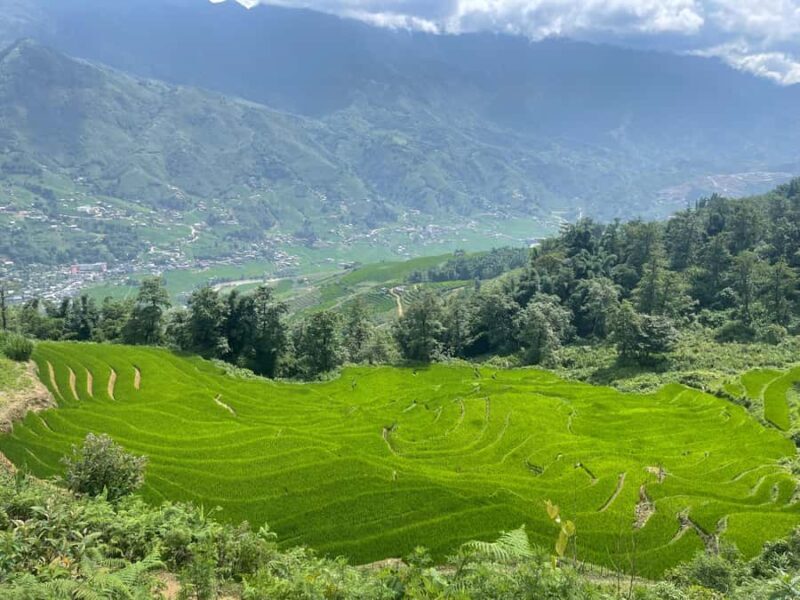 Sapa: Trekking Through Y Linh Ho - Lao Chai & Ta Van Village - Introduction