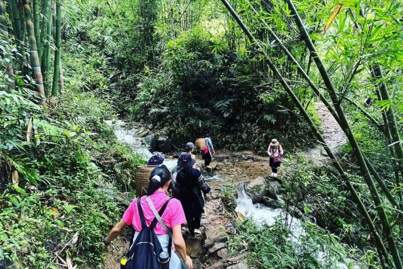 Sapa: Trekking to Y Linh Ho, Lao Chai & Ta Van Villages - Practical Details and What to Expect