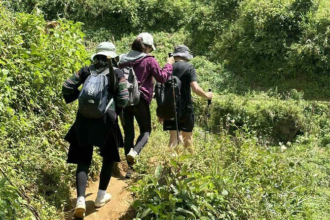 Sapa Trekking Tour Silver and Love Waterfalls Sin Chai - Practical Details and Value