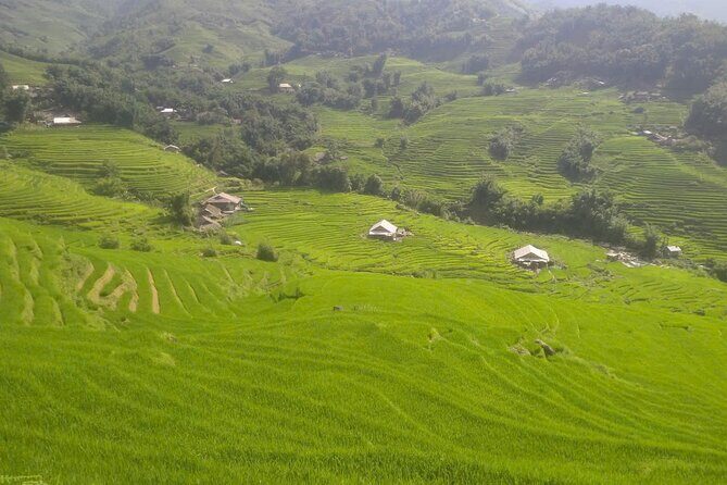 Sapa Trekking Tour to Y Linh Ho & Lao Chai with Local Guide - Frequently Asked Questions