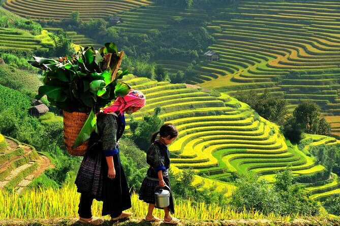 Sapa Trekking Tours 2 Days 1 Night Stay At Homestay - Key Points