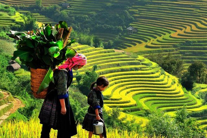 Sapa Trekking Tours - 2 Days 1 Night Stay At Homestay - Key Points