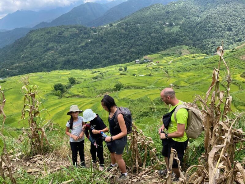 Sapa Trekking - Waterfalls And H'mong Villages - An In-Depth Look at the Tour