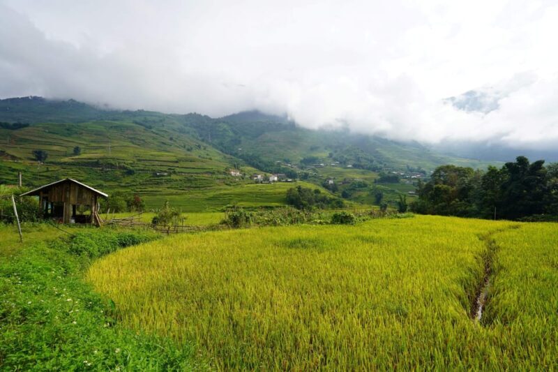 Sapa trip to Waterfalls, Trekking and Tribal Villages Tour - Frequently Asked Questions
