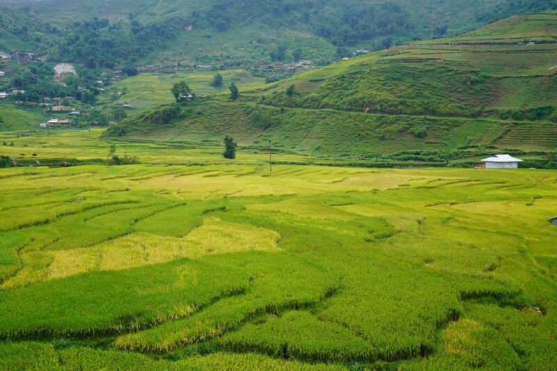 sapa-trip-to-y-linh-ho-lao-chai-ta-van-cat-cat-village