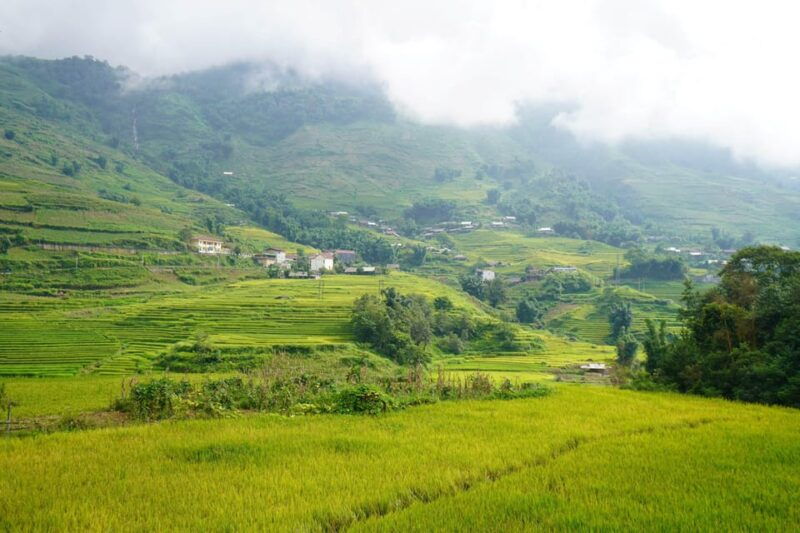 sapa-trip-to-y-linh-ho-lao-chai-ta-van-cat-cat-village