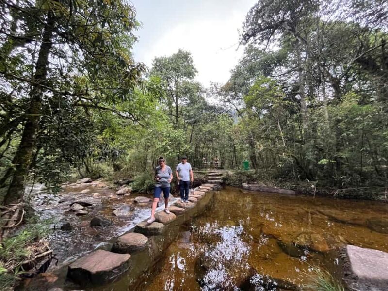 Sapa: Waterfalls, Tea Farm, and Cave Full-Day Tour by Car - Practical Details and Tips