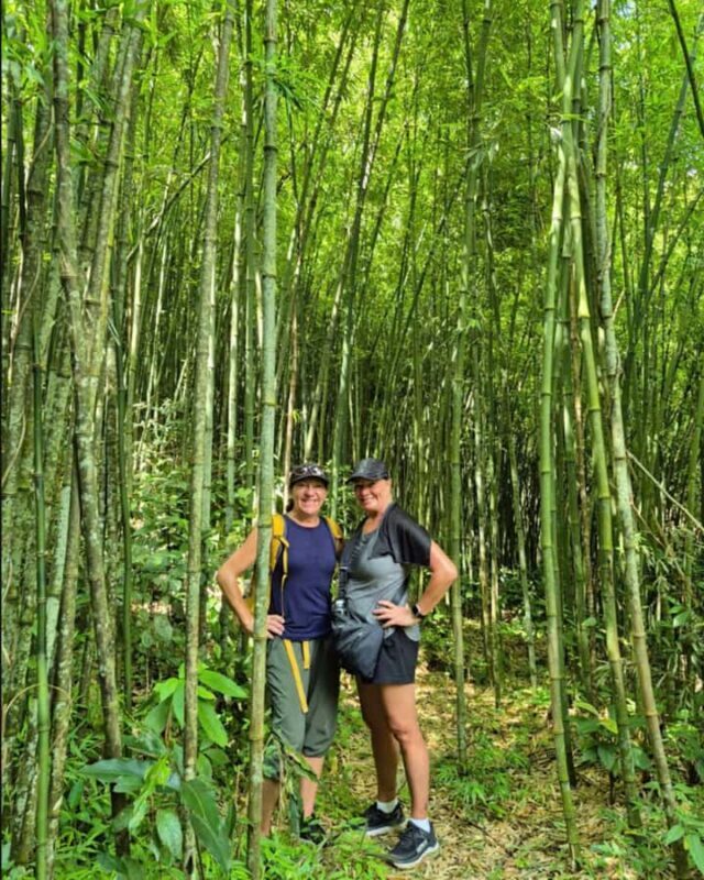 Sapa: Y Linh Ho, Muong Hoa Valley Trek & Village Experience - Key Points