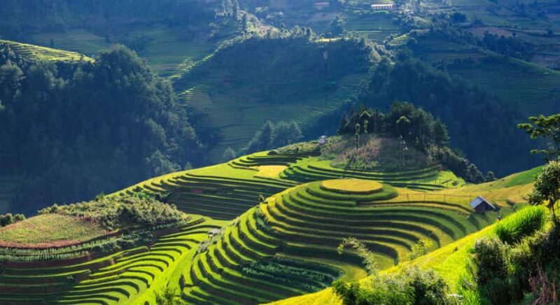 Sapa: Y Linh Ho, Muong Hoa Valley Trek & Village Experience - Authentic Encounters and Cultural Insights