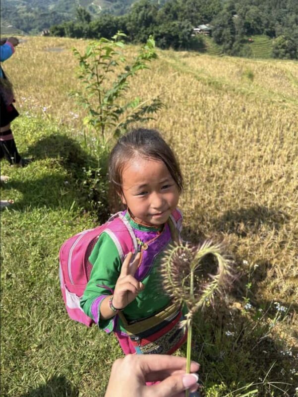 Sapa: Y Linh Ho, Muong Hoa Valley Trek & Village Experience - The Sum Up: Who Will Love This Tour?