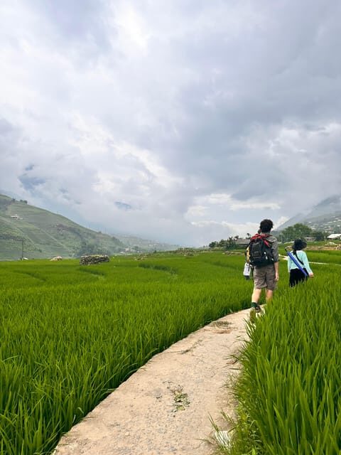 Sapa3D2N TrekkingAdventures,Valleys,Bambooforest,Waterfall - What Do the Reviews Tell Us?