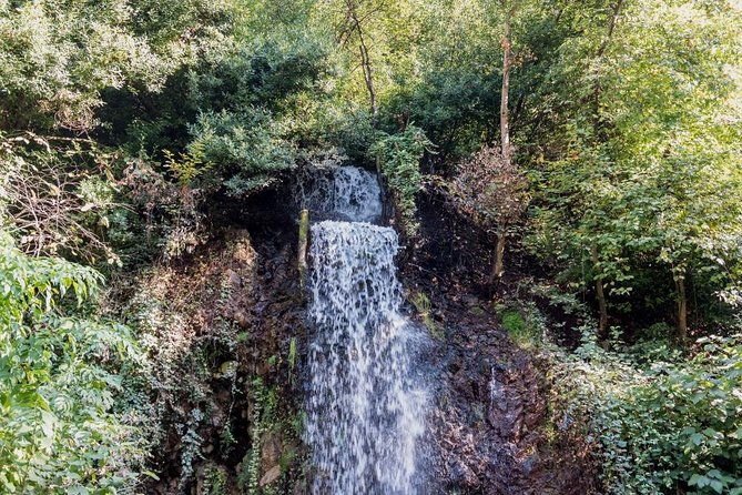 sapanca-and-masukiye-tour-with-lunch-full-day
