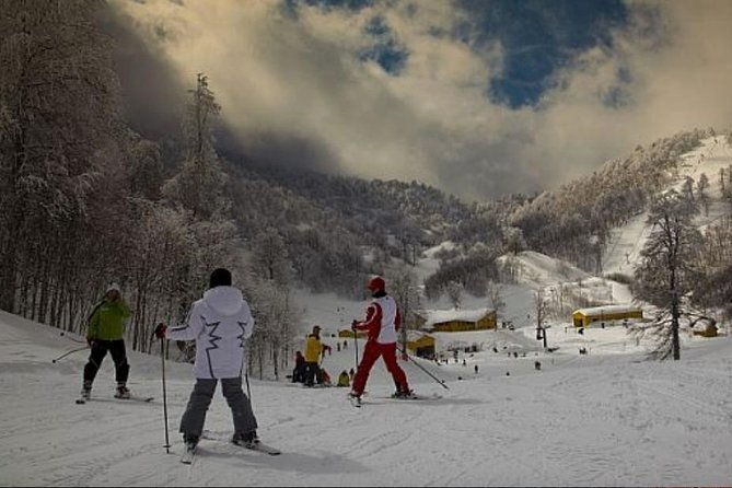 sapanca-and-zoo-private-tour-from-istanbul-vip-minivan-best-quality