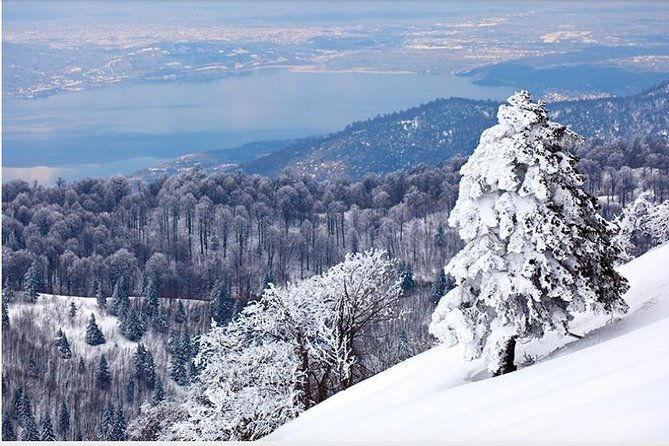 sapanca-and-zoo-private-tour-from-istanbul-vip-minivan-best-quality