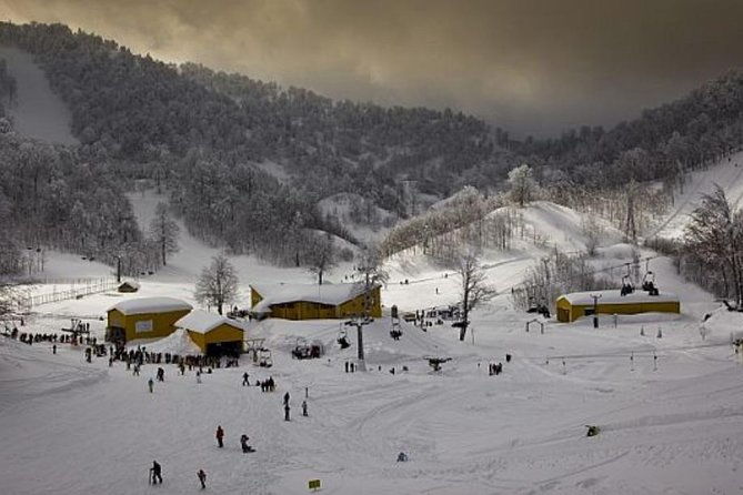 sapanca-and-zoo-private-tour-from-istanbul-vip-minivan-best-quality