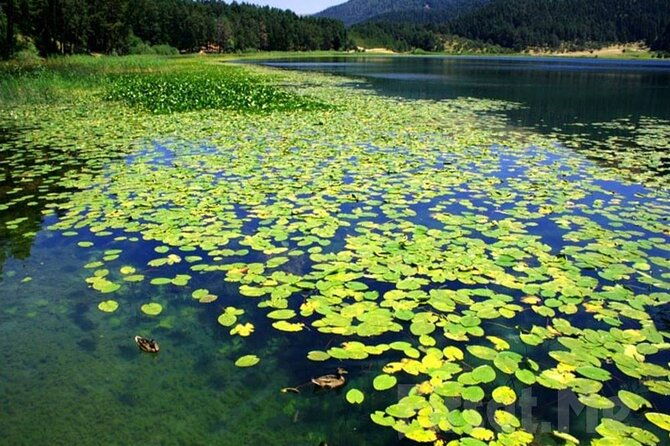 sapanca-lake-masukiye-tour-from-istanbul