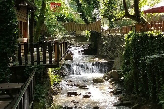 sapanca-lake-tour-with-lunch-from-istanbul-2