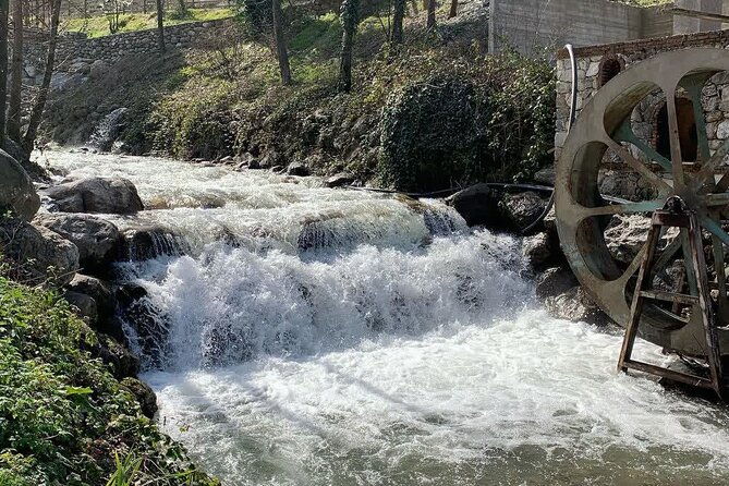 sapanca-lake-tour-with-lunch-from-istanbul