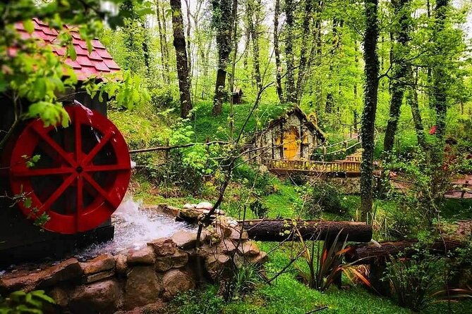 sapanca-masukiye-full-day-tour-with-lunch