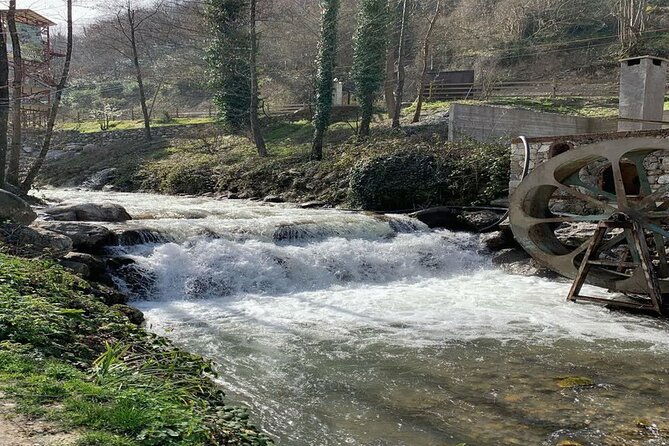 sapanca-masukiye-full-day-tour-with-lunch