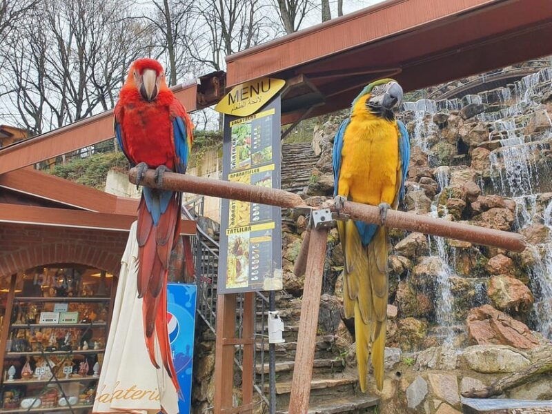 sapanca-masukiye-tour-from-istanbul