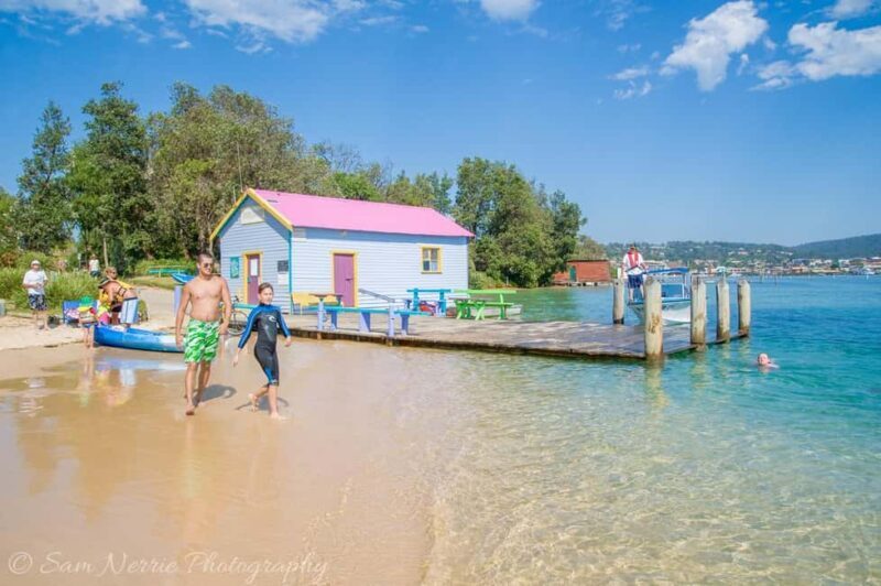 Sapphire Coast: 7h Shore Excursion with Aussie Morning Tea - The Sum Up