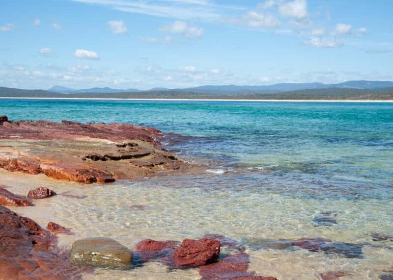 Sapphire Coast: 7h Shore Excursion with Aussie Morning Tea - Frequently Asked Questions