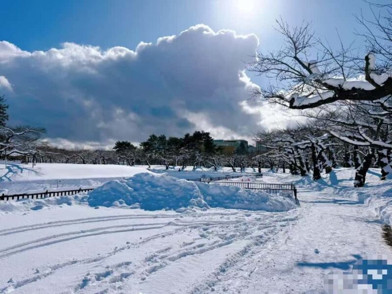 Sapporo: 4-Day Hakodate, Lake Toya, & Noboribetsu Tour - Authentic Experiences and Guide Insights