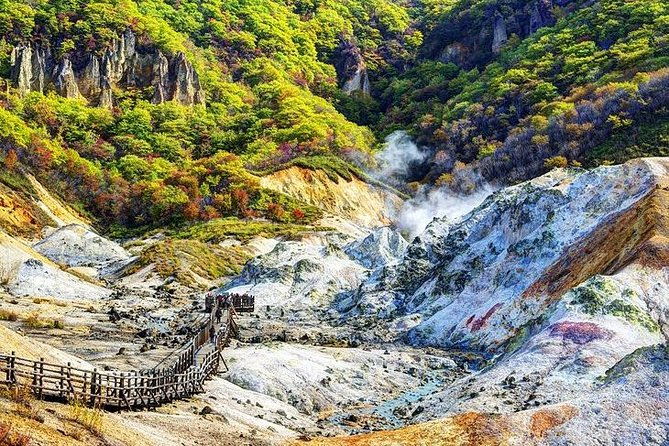 sapporo-6hr-private-tour-with-government-licensed-guide