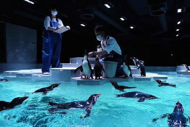 Sapporo AOAO Aquarium Park Hokkaido - The Experience: What Makes It Worth Visiting?