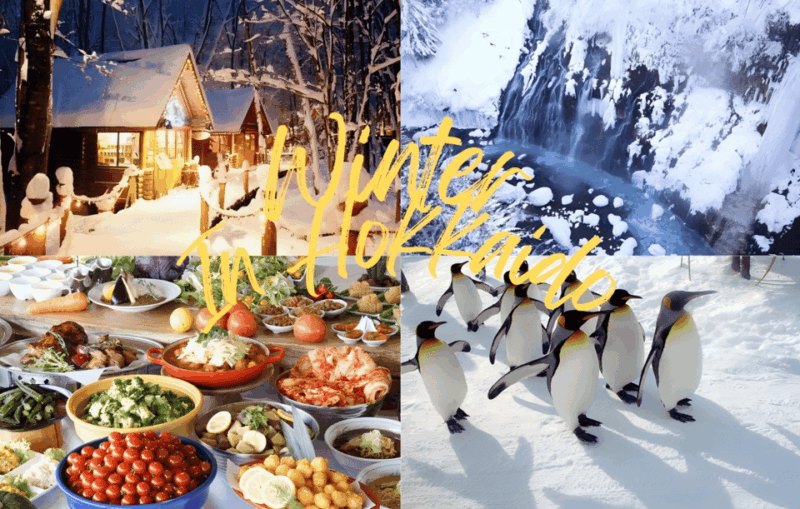 sapporo-asahikawa-zoo-shirahige-falls-ningle-terrace-tour