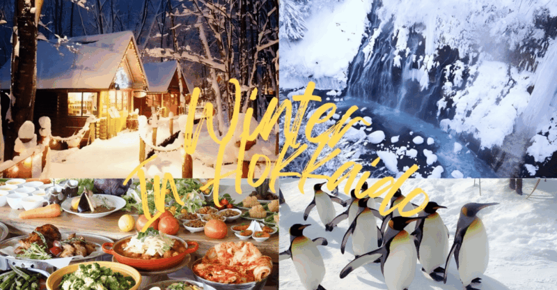 sapporo-asahikawa-zoo-shirahige-falls-ningle-terrace-tour