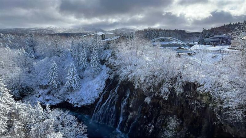 Sapporo: Asahikawa,Biei and Furano day Tour in small group - Key Points