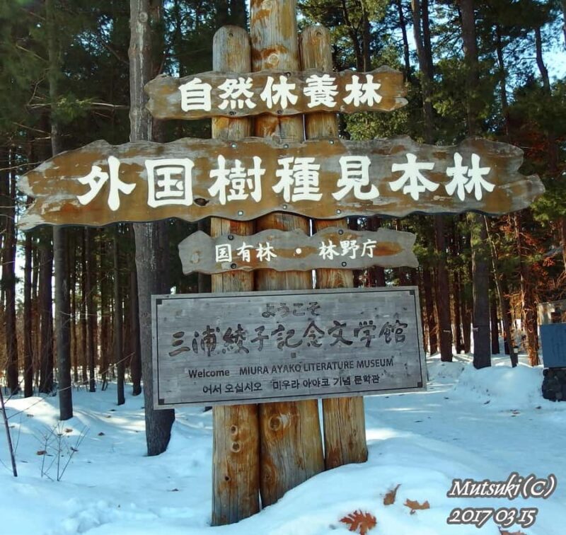 Sapporo: Asahikawa,Biei and Furano day Tour in small group - Who Will Love This Tour?