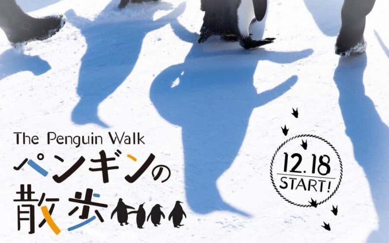 Sapporo: Asahikawa,Biei and Furano day Tour in small group - The Sum Up: Is This Tour Worth It?