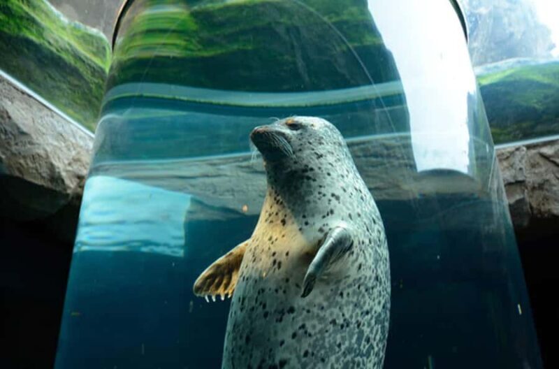 Sapporo: Asahiyama Zoo and Blue Pond Day Trip - Who Should Consider This Tour?