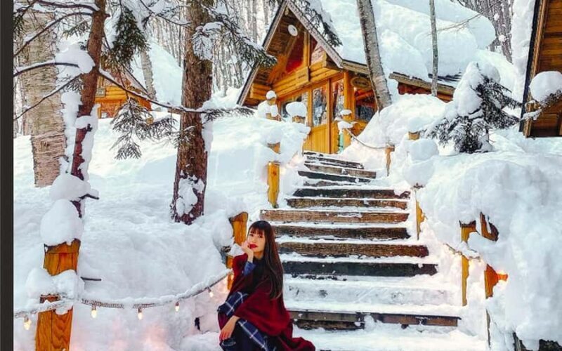 Sapporo: Asahiyama Zoo and Shirahige Falls Trip /w Pickup - Key Points