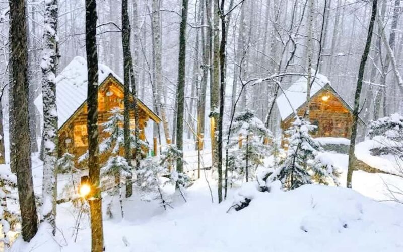 Sapporo: Asahiyama Zoo and Shirahige Falls Trip /w Pickup - The Sum Up