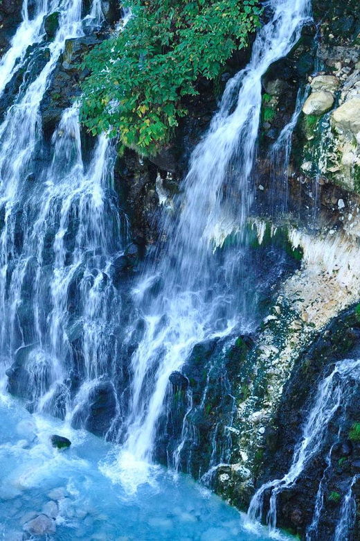 sapporo-asahiyama-zoo-and-shirahige-falls-trip-with-ticket