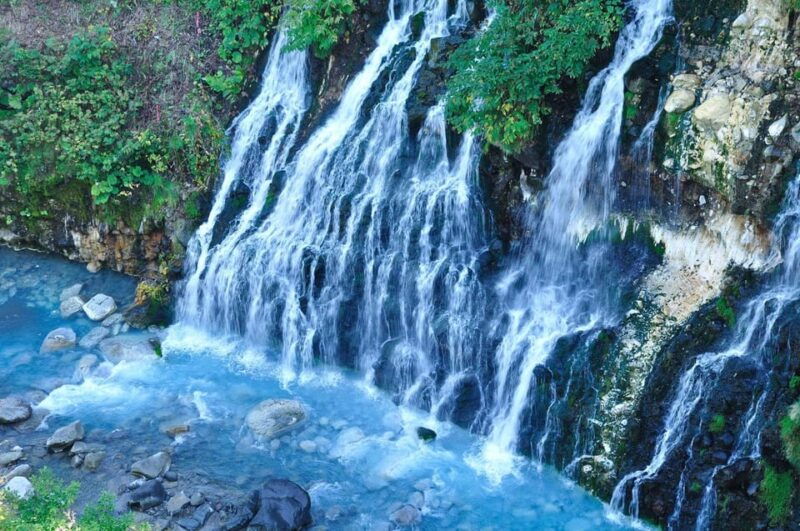 sapporo-asahiyama-zoo-and-shirahige-falls-trip-with-ticket
