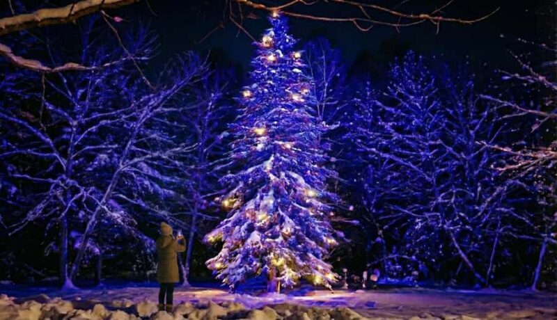 Sapporo: Biei Best 5 Must-Visit Day Tour (Late Departure) - FAQs