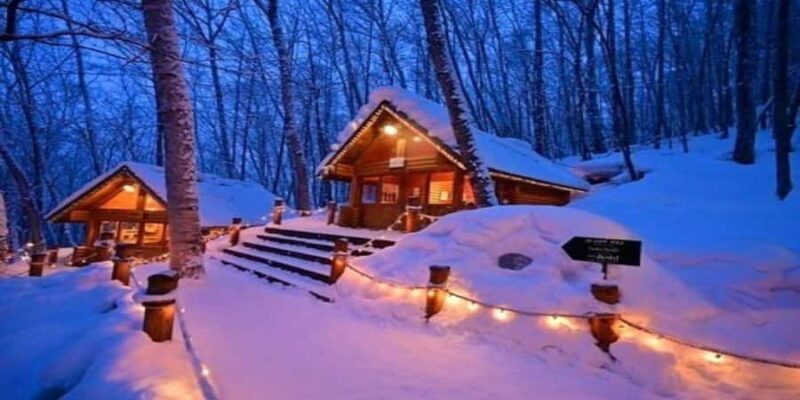 Sapporo: Biei & Furano Private Tour with Hot Spring - The Practical Details