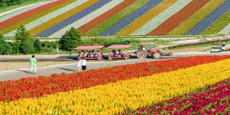 Sapporo: Biei & Furano Private Tour with Hot Spring - Final Thoughts