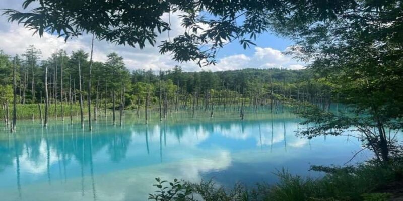 Sapporo: Biei & Furano Private Tour with Hot Spring - FAQ