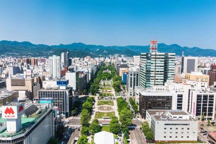 sapporo-buddha-hill-tv-tower-and-sake-stand-bar-tour